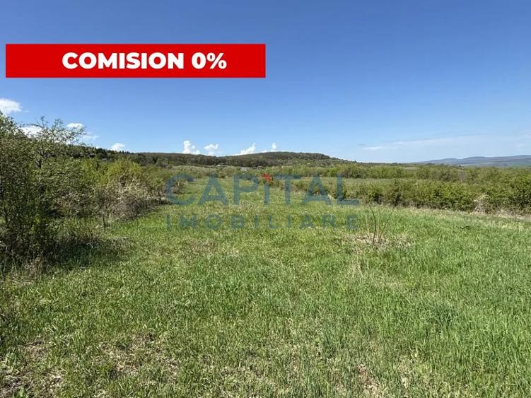 Teren intravilan 2200mp, Front 16m, sat. Padureni, Chinteni - 1