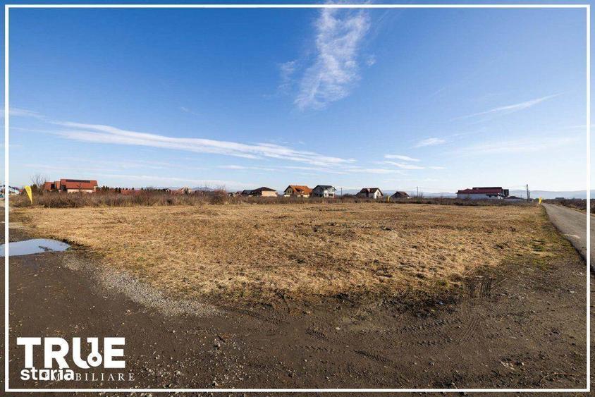 Teren intravilan de vanzare, 1000m2, Reghin! - 5