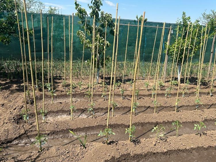 Casa pe structura metalica - 8