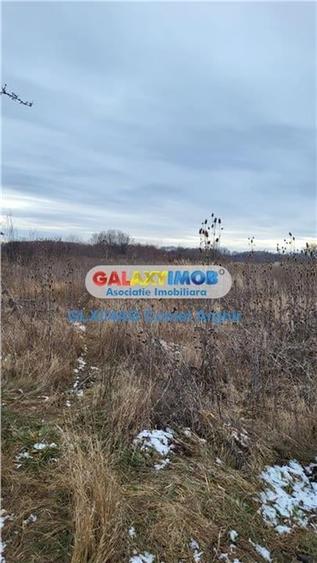 Vindem teren intravilan 3500 mp Smeura - 4