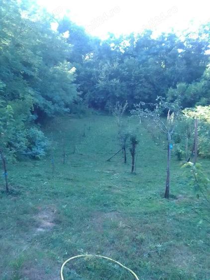 Casa complet renovata, 1.800 mp teren, aproape de Rm. Valcea ?i Baile Govora - 10