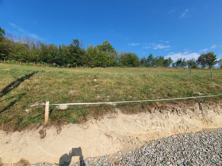 Teren rezidential zona Bran Tohanita zona de case - 5