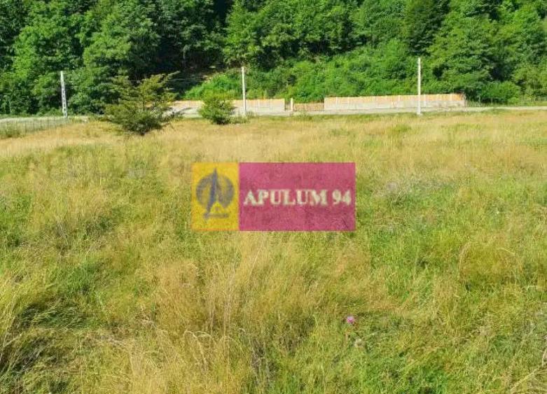 Teren Jude?ul Valcea - Brezoi, Valea lui Stan - 11