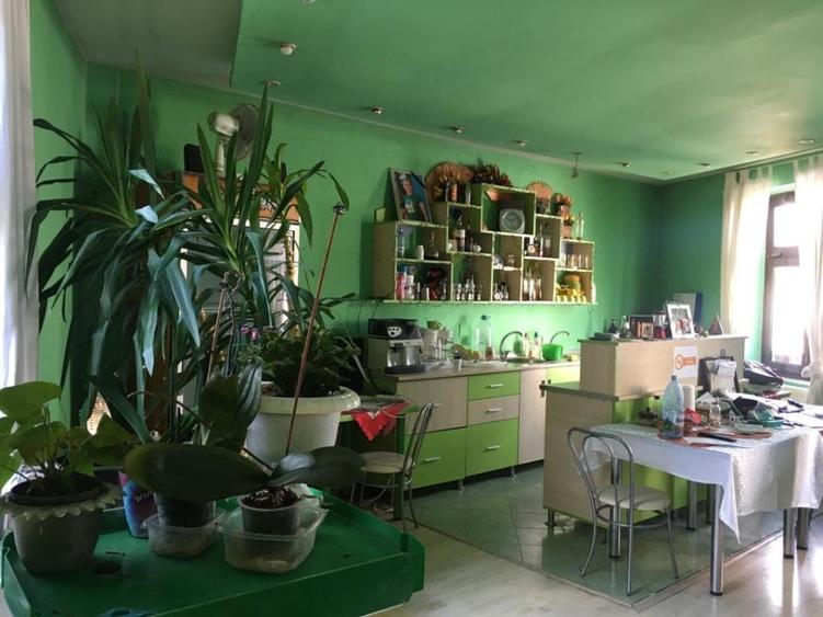 Casa cu spațiu și vad comercial, Băita (centru) - 7