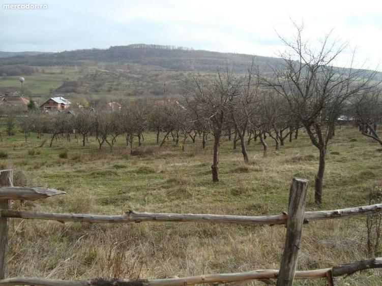 Mihaesti, Draghici - 8