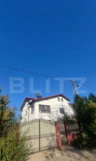 Casa-VILA deosebita ,mobilata plus toate facilitatile - 4