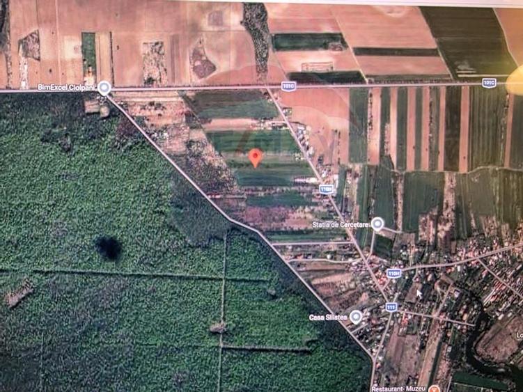 Teren 704 mp Silistea Snagovului vecinatate Padurea Snagov - 3