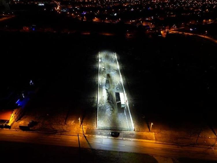 Inchiriez teren zona Mehala 2000 mp - 7