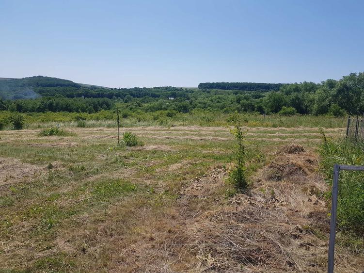 2 parcele Padureni aprx 1100 mp fiecare - 1