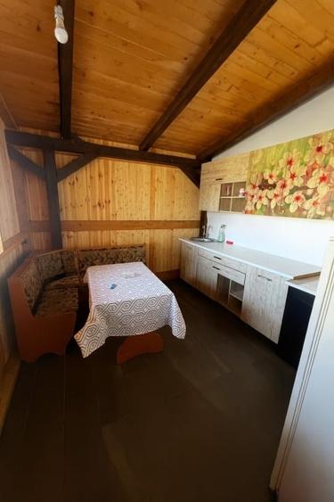 Proprietate industrială complet utilată - 9