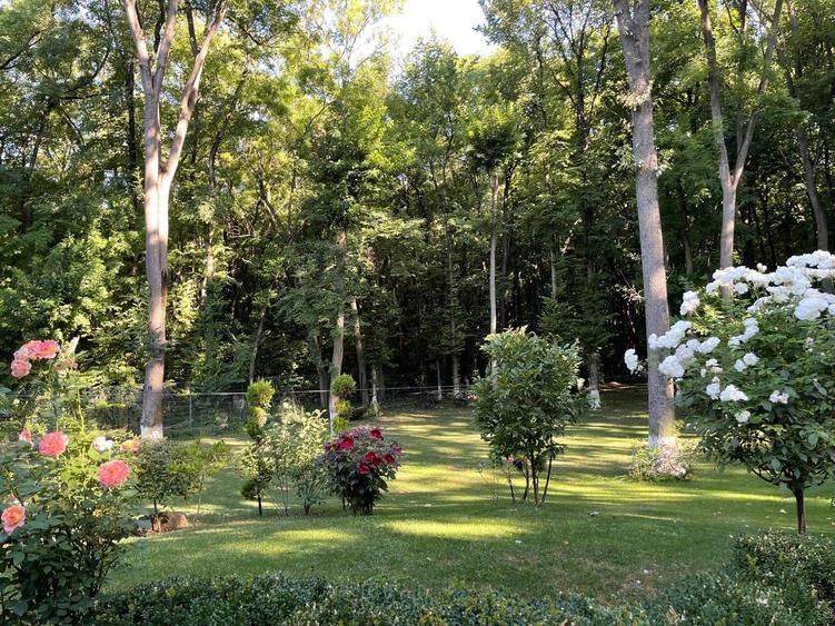 Vila  7 camere iancu nicolae gata de mutare - 4