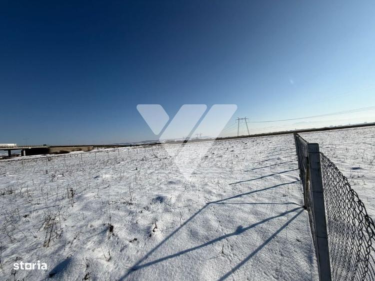 Teren agricol 4200 mp pretabil investitie imprejmuit ,Calea surii mici - 7