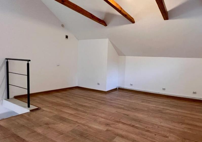 Spatiu comercial de inchiriat, 50 mp, zona Piata Cipariu - 3