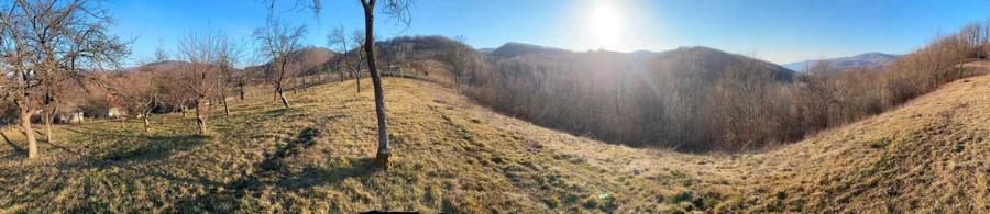 Vand casa si livada in Comuna Ciucea, judetul CLUJ - 2