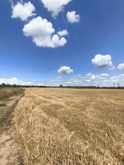 TEREN COCOSESESTI//INTRAVILAN - 6