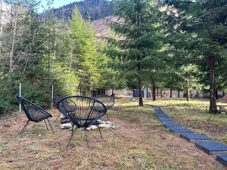 Vand cabana la munte - Lunca Vi?agului, Valea Draganului - 3