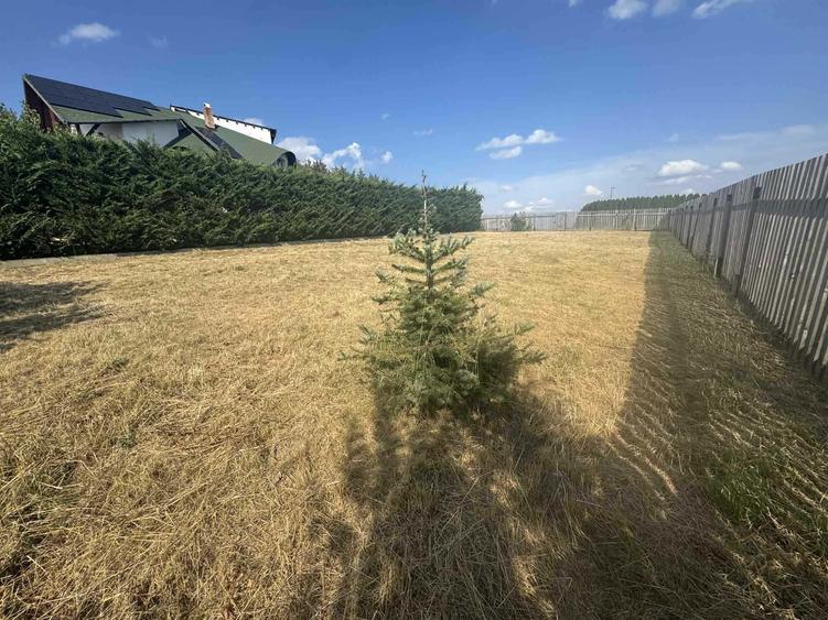 Kolcza, teren intravilan, cu plan casa si autorizatie construire - 5