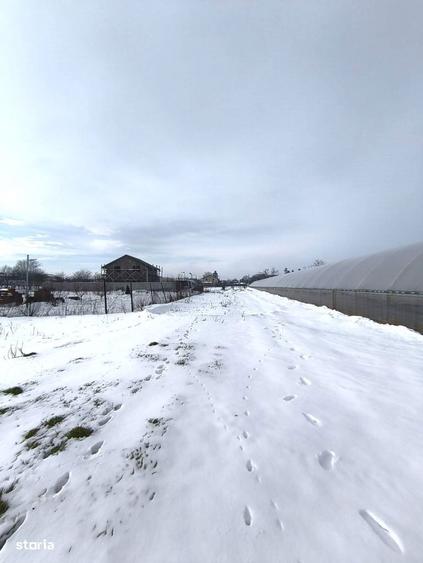 JilavaTeren Intravilan Construibil615 mp65 EUR/mp-COMISION 0% - 6