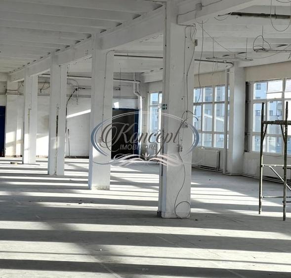 Hala depozitare/productie in Piata 1 Mai - 8