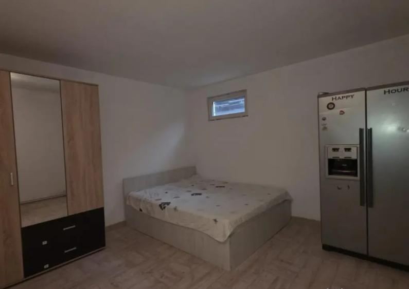 Casa 4 camere Stefanestii de jos-Cretuleasca - 3