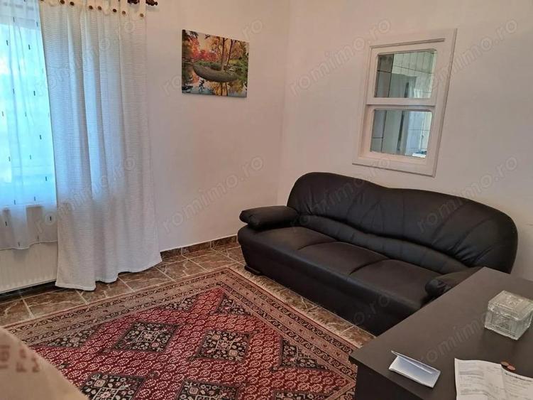 OFERTA in Bacia, Hunedoara ! Proprietate 2 case + Cabana + Livada - 7