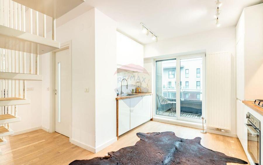 Vanzare Duplex Penthouse 178 mp, 5 dormitoare, Belvedere ... - 9