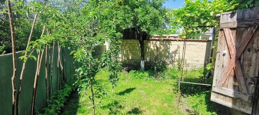 Casa, singur in curte in Bod, zona Centru - 3