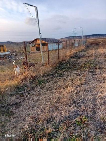 Teren cenura ocolitoare dr tr severin - 6