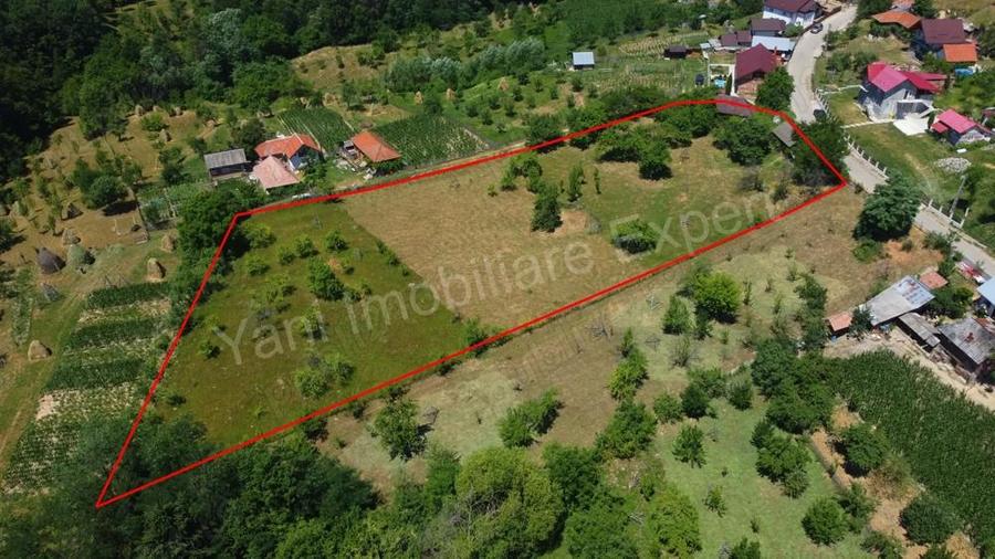 Teren de vanzare in comuna Cicane?ti, sat Bara?ti, jude? Arge?. - 12