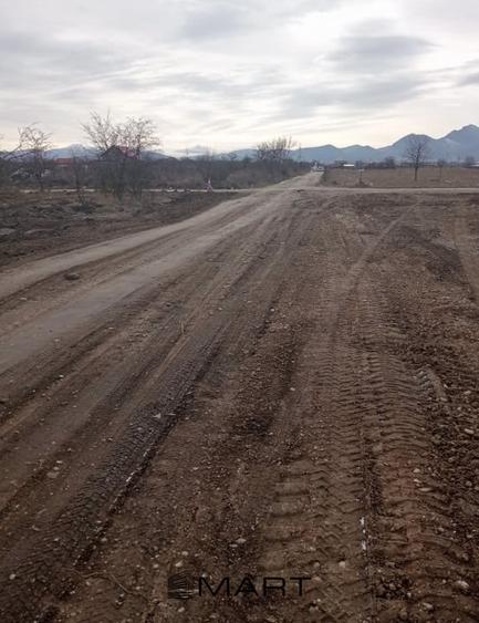 Teren Intravilan 533 mp Sanpetru - 6