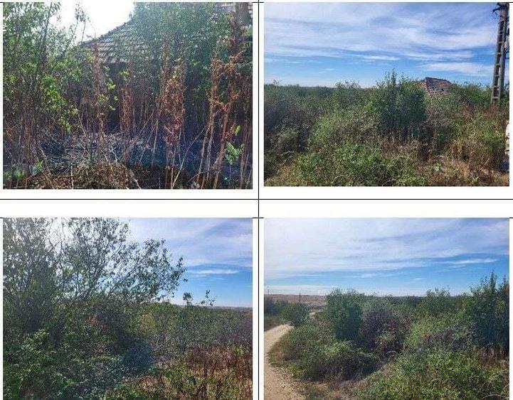 Casa si teren Sat Guruieni, cota parte de 1/2 , ID: R2319667 - 11