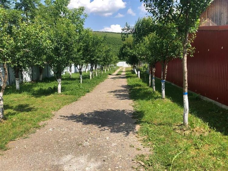 Casa si teren in zona Zizin   Comison standard - 6