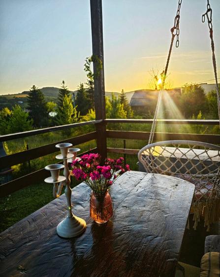 Casa in Moac?a cu vedere la Lacul Padureni - 4