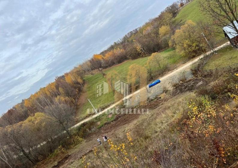 Teren intravilan Sinca Noua - 9