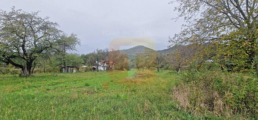Teren intravilan de vânzare – 1.350 mp – Comuna Alexandru cel Bun - 11