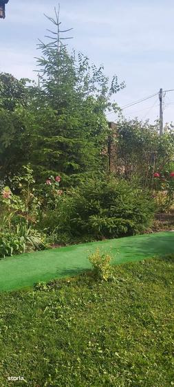 Casa de vacanta la 30 km de Bucuresti - 5