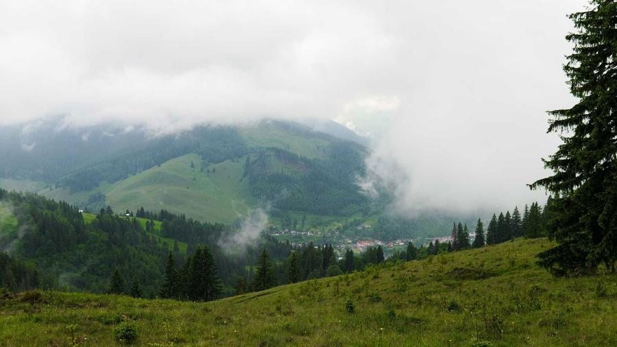 Unicat! 17 Ha Hectare teren intravilan + extravilan in Fundu Moldovei - 7