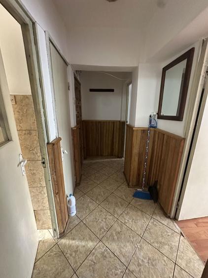 Apartament etajul 2 Baia de Arama - 8