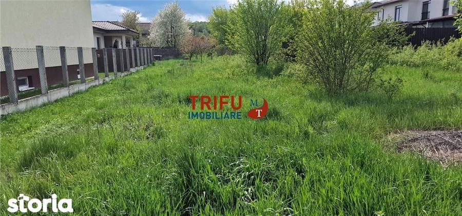 Teren de vanzare zona Micesti - 6