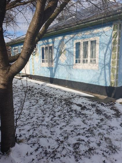 Casa batraneasca + teren cu iaz  - 1