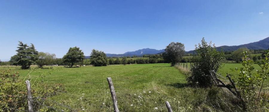 Teren 9350 mp Bran Livada, Extravilan - 6