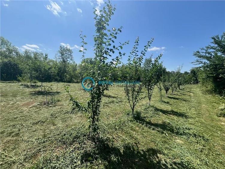 Royal Imobiliare-Vanzare Vila Zona Romanesti - 28