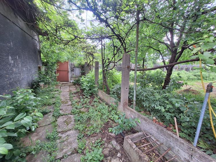 Casa de vanzare teren total 439 mp zona Trei Stejari - 4