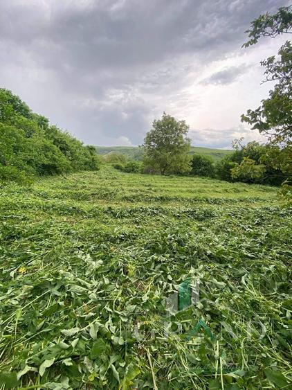 Teren agricol extravilan de 2200 mp, în Rădaia