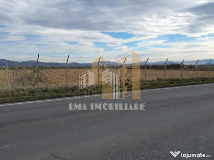 Teren intravilan industrial DN 13 Calea Feldioarei Brasov - 3