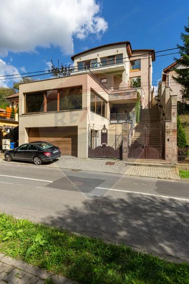 Casa spectaculoasa in Media? re?edin?a antrenorului Cristi Pustai - 18