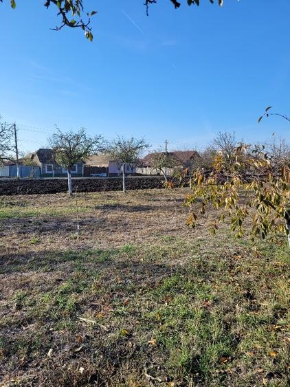 Vând teren intravilan suprafață 1414mp în Sânpetru Mare, jud.Timiș .  - 5