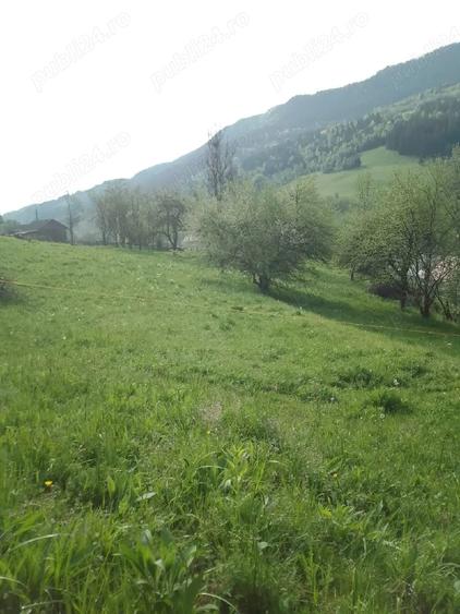 Vand teren in com.Vidra jud.Alba. - 1