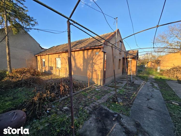 Fratelia- Casa si teren- 1438 mp - 18
