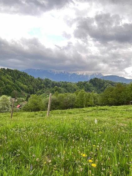 PROPRIETAR - 3274 mp intravilan Simon (BRAN) - 6